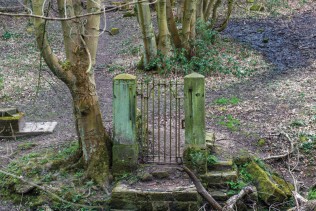 Gate Alone Credit: Lizzie Coombes 2016